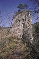 Ruine Sonnenberg
